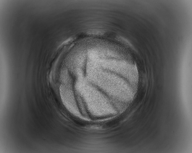 X0000086230692200704261856