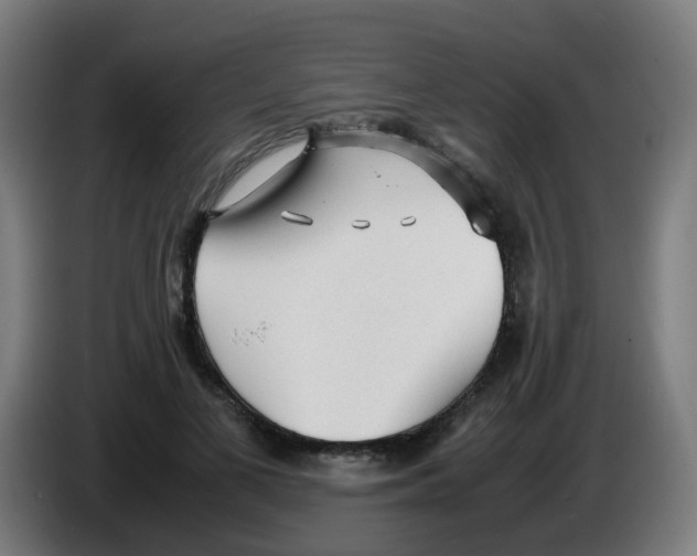 X0000086230693200704261856