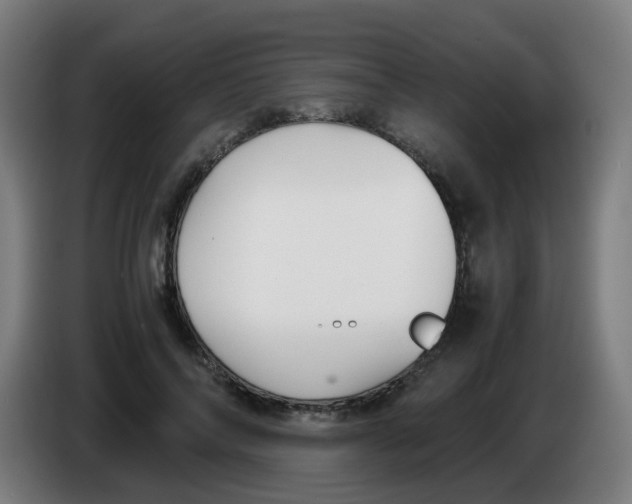 X0000086230694200704261856