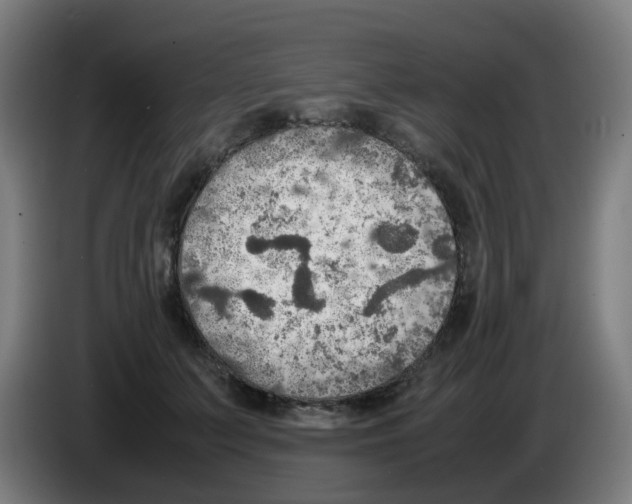 X0000086230703200704261856