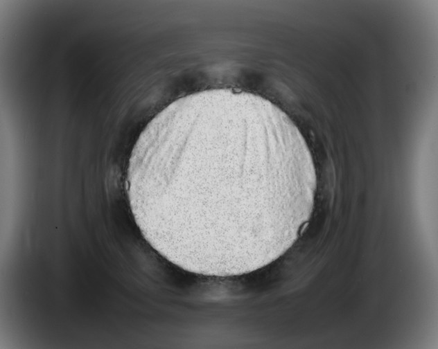 X0000086230711200704261856