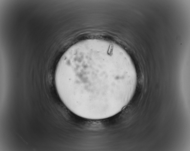 X0000086230715200704261856