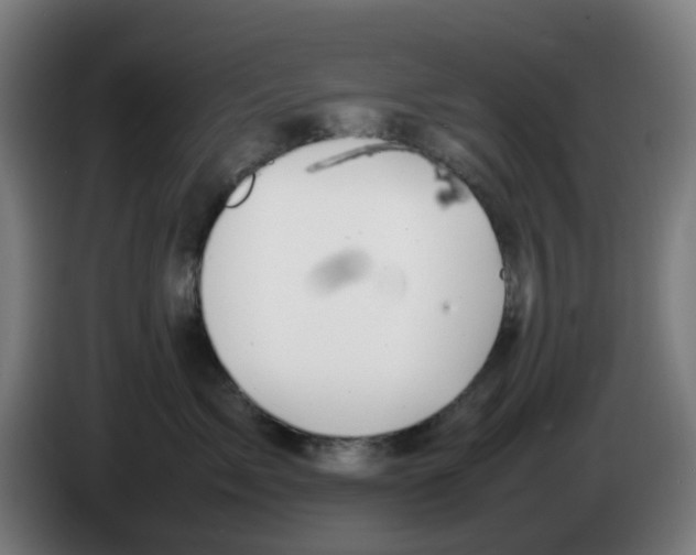 X0000086230717200704261856