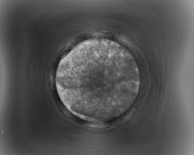 X0000086230720200704261856