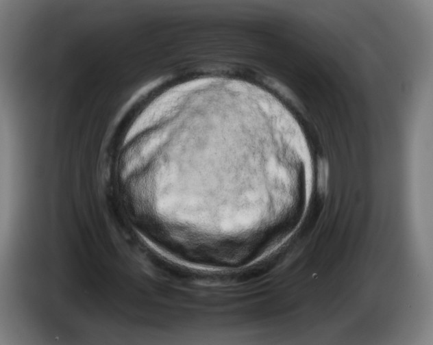 X0000086230723200704261855