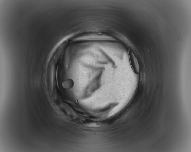 X0000086230724200704261855