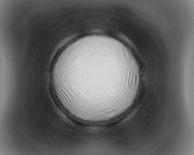 X0000086230725200704261855