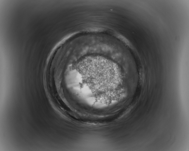 X0000086230726200704261855