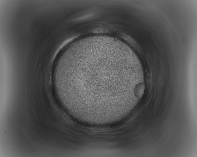 X0000086230727200704261855