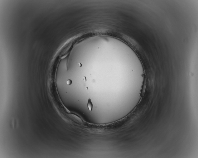 X0000086230728200704261855