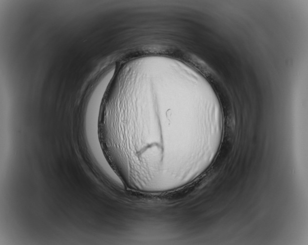 X0000086230734200704261856