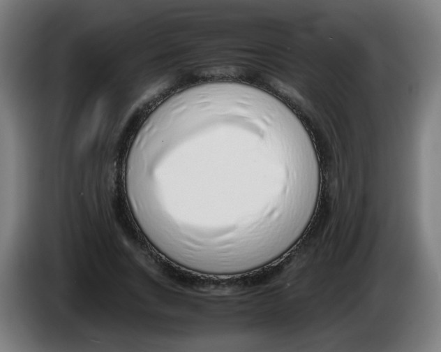 X0000086230735200704261856