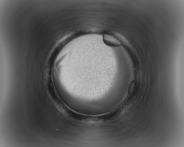 X0000086230736200704261856