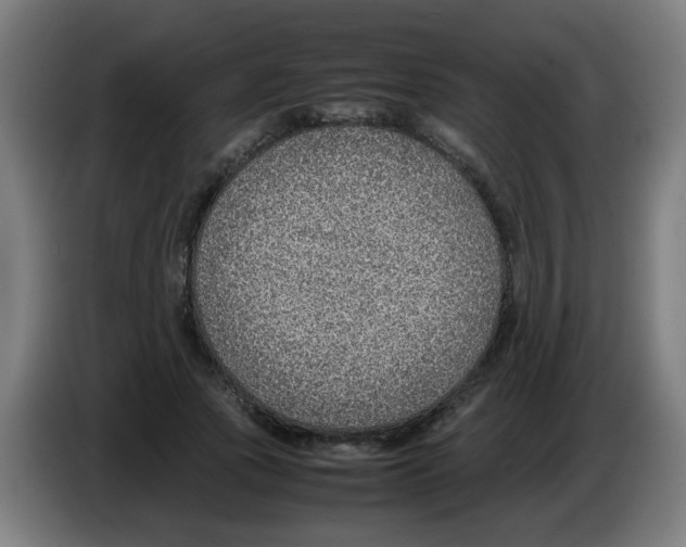 X0000086230737200704261856