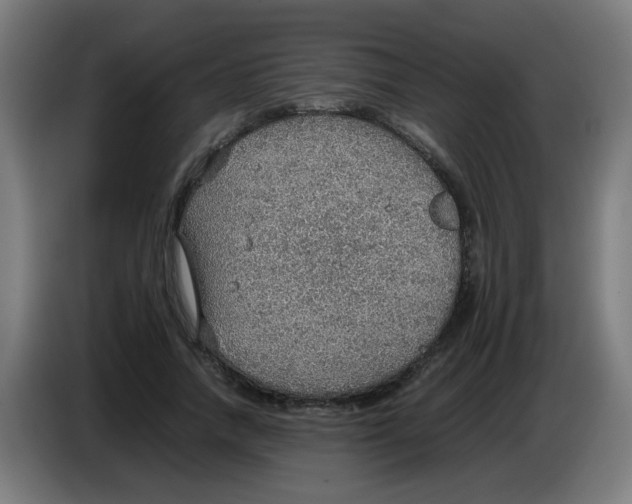 X0000086230738200704261856