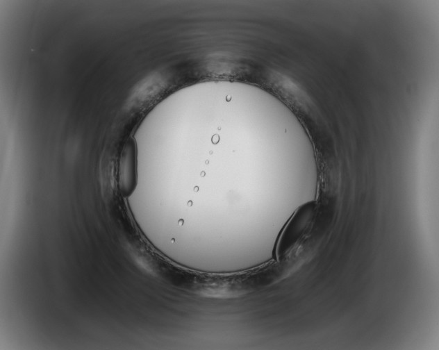 X0000086230740200704261856