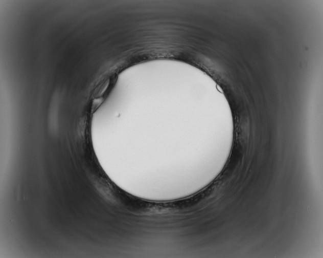 X0000086230742200704261856