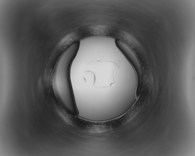 X0000086230744200704261856