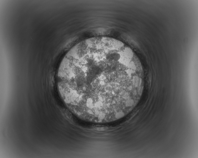 X0000086230746200704261856