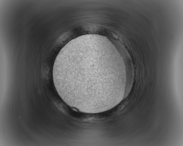 X0000086230750200704261856