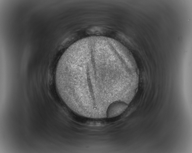 X0000086230751200704261856