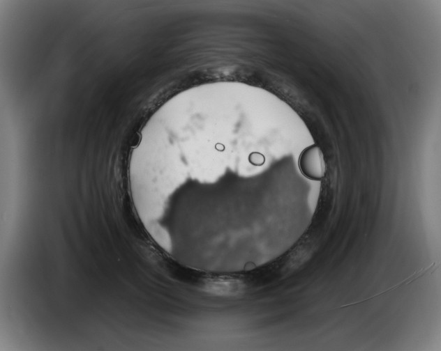 X0000086230754200704261856