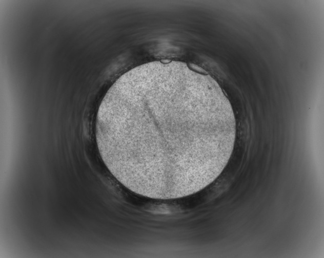 X0000086230755200704261856