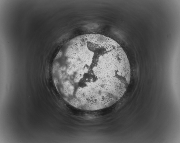 X0000086230757200704261856