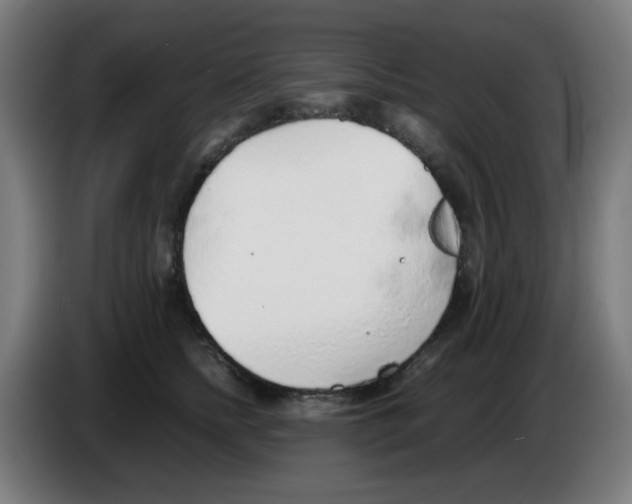 X0000086230758200704261856