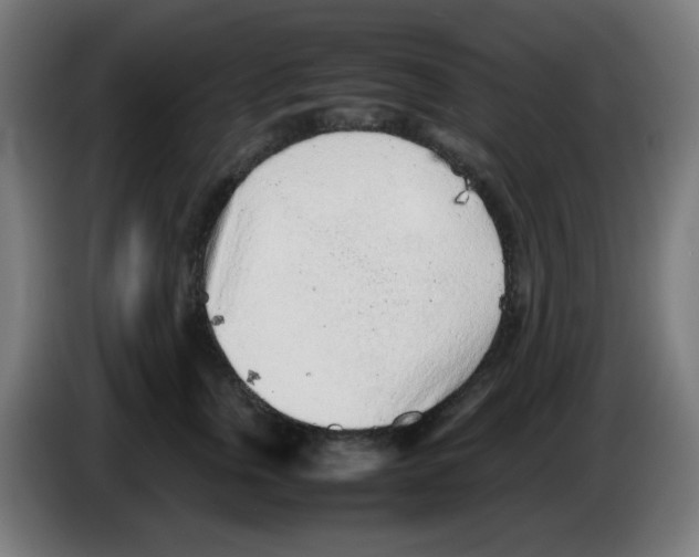 X0000086230759200704261856