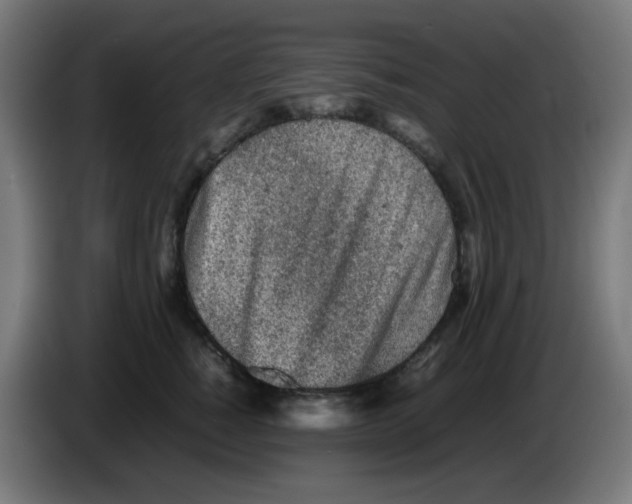 X0000086230760200704261856