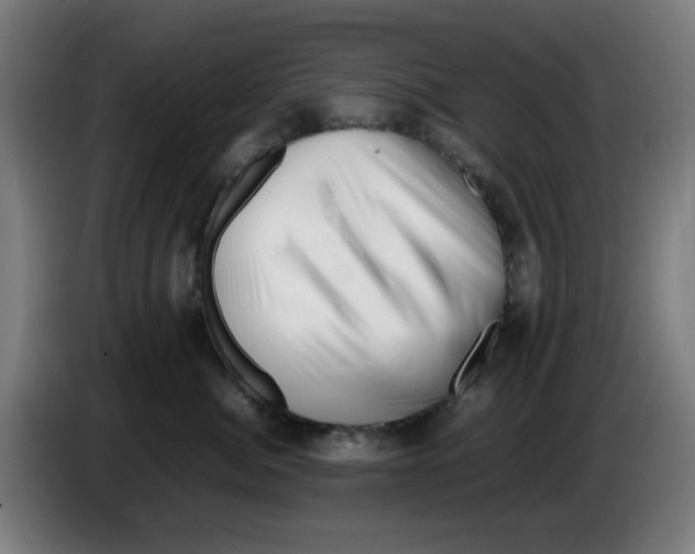 X0000086230764200704261856