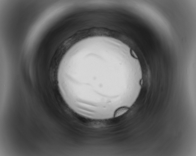 X0000086230765200704261856