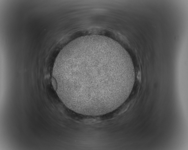 X0000086230771200704261855