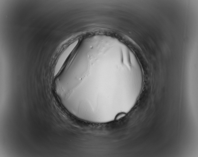 X0000086230775200704261855