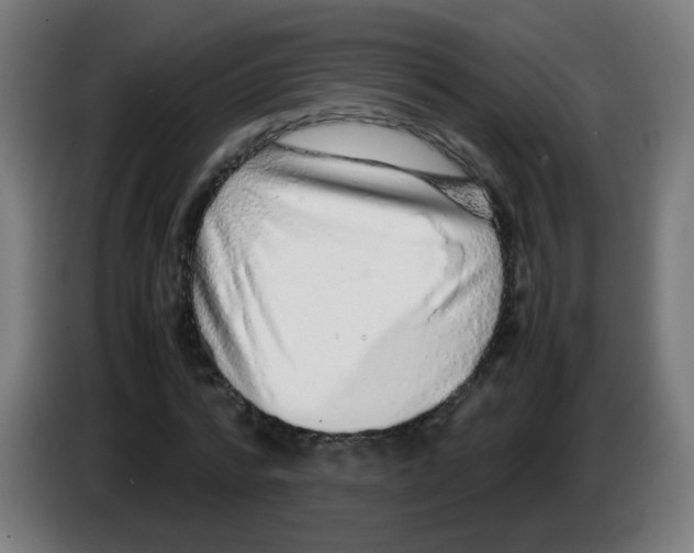 X0000086230776200704261855