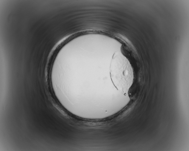 X0000086230780200704261855