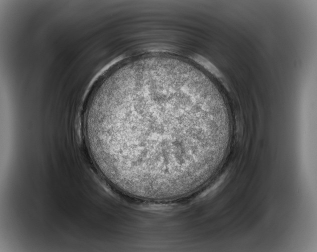 X0000086230782200704261855