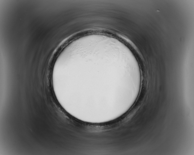 X0000086230783200704261855