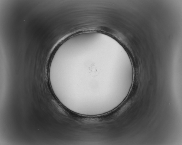 X0000086230789200704261855