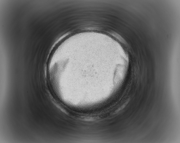 X0000086230790200704261855