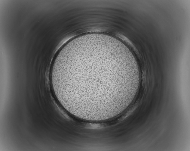 X0000086230794200704261855