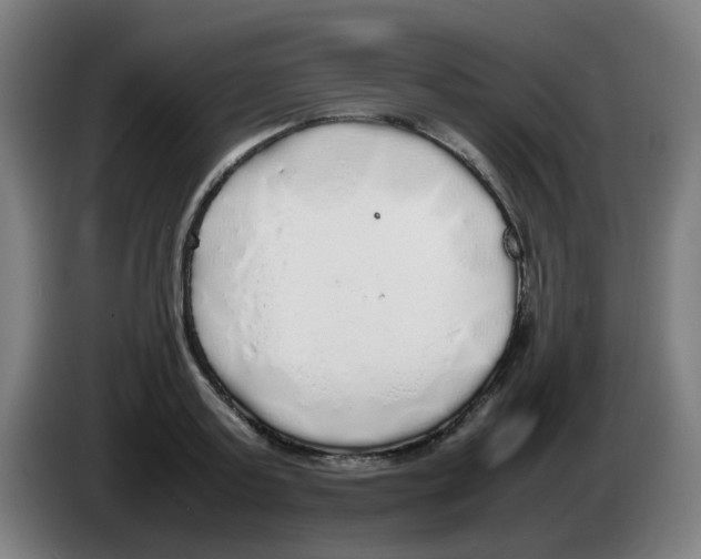 X0000086230795200704261855