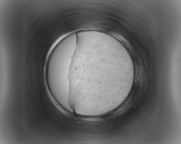 X0000086230796200704261855