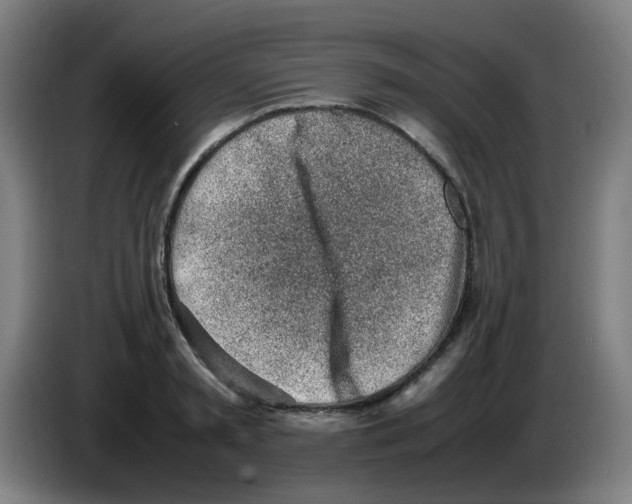 X0000086230797200704261855