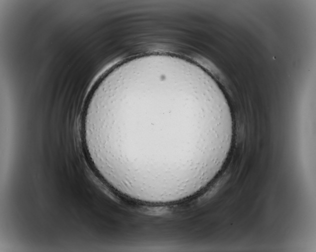 X0000086230798200704261855