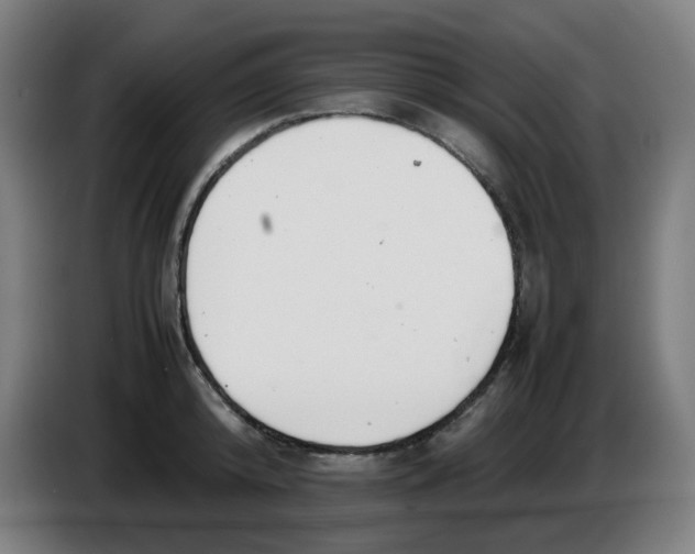 X0000086230800200704261855