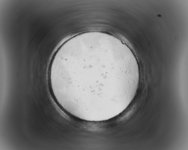 X0000086230803200704261855