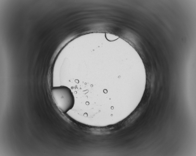 X0000086230804200704261855