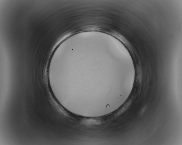 X0000086230806200704261855